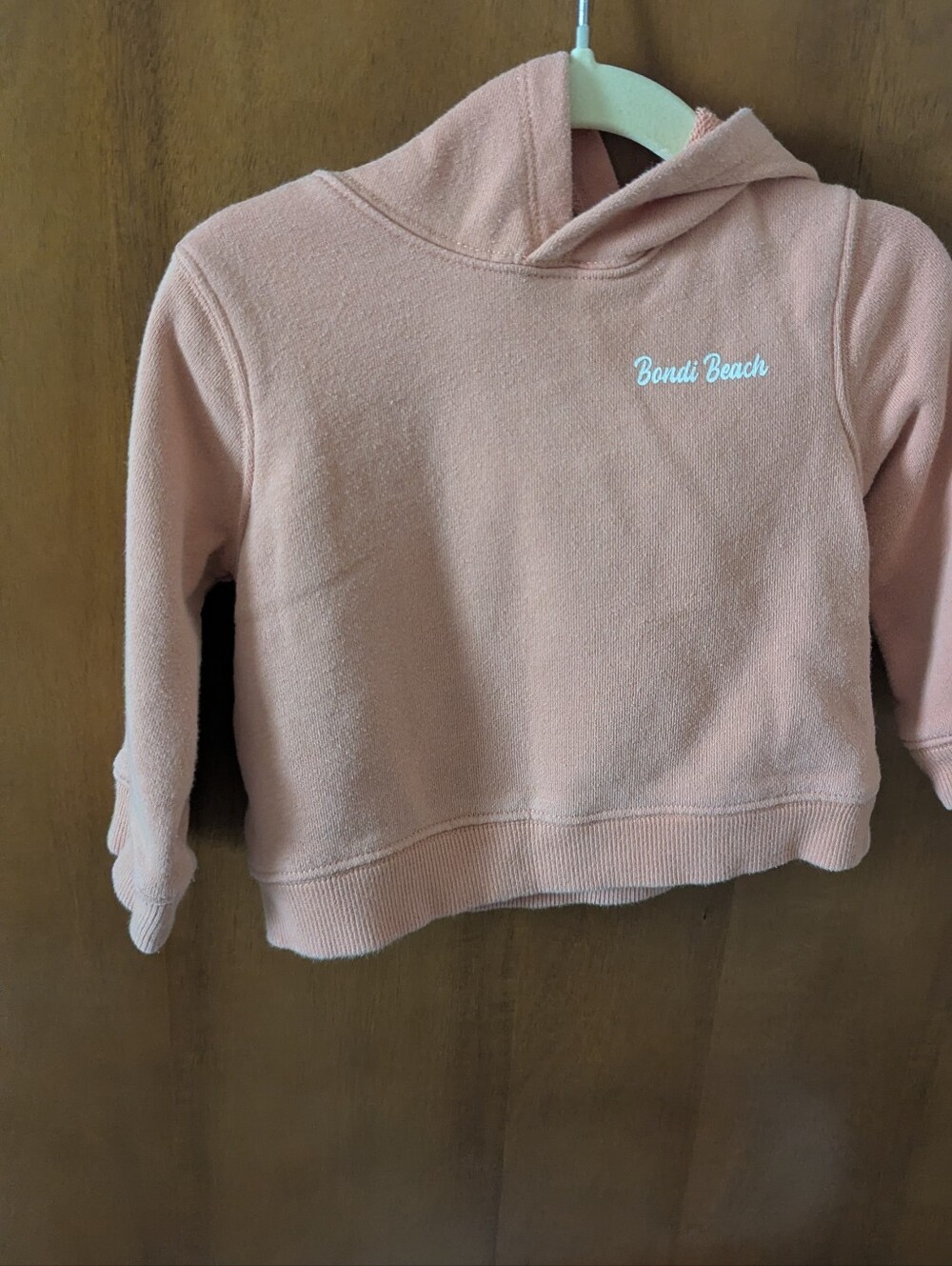 Janie and Jack Peach Hooded Sweatshirt